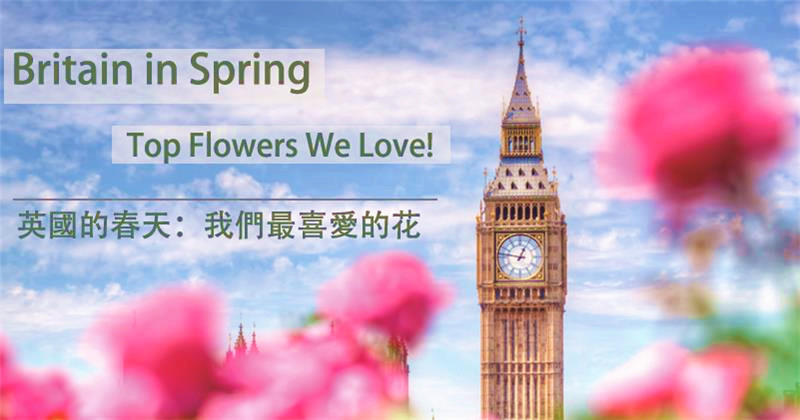 英国的春天：我们最喜爱的花！